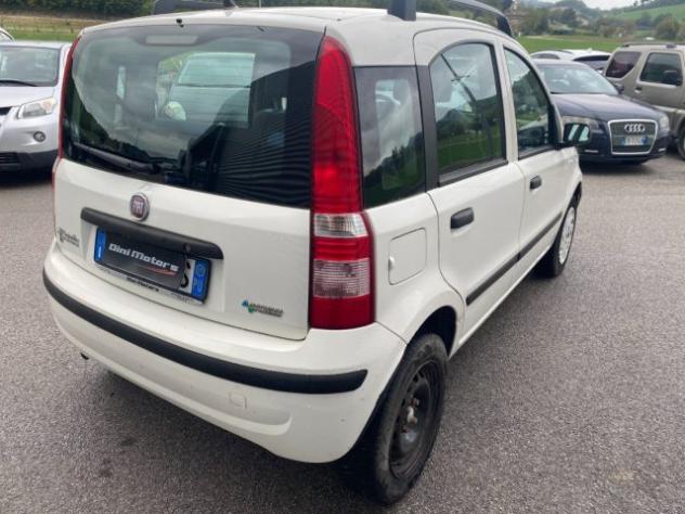FIAT Panda 1.2 Dynamic Natural Power METANO OK NEOPATENTATO rif. 24185338 - Foto 5