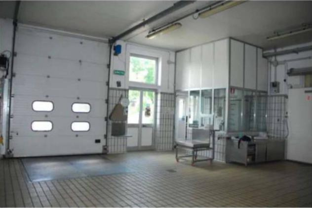 Immobile in asta di 5840 m² in vendita a Montefalco - Foto 7