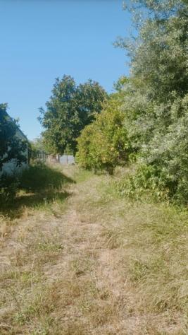 Villa da ristrutturare in paese con 5700 mq di giardino . - Foto 4