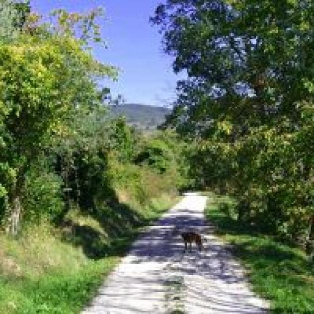 Agriturismo Marano - Foto 4