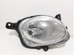 FENDINEBBIA ANTERIORE DX FIAT 500 L Serie (351_352) 47500748 (12)