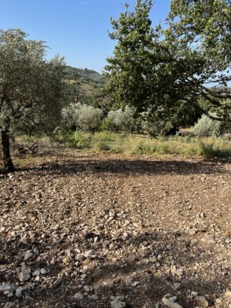 Giungano, Due Lotti Di Terreno Con Progetto Approvato - Foto 2