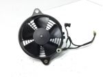 HONDA @ CHIOCCIOLA 150 ELETTROVENTOLA RAFFREDDAMENTO RADIATORE 2000 2002