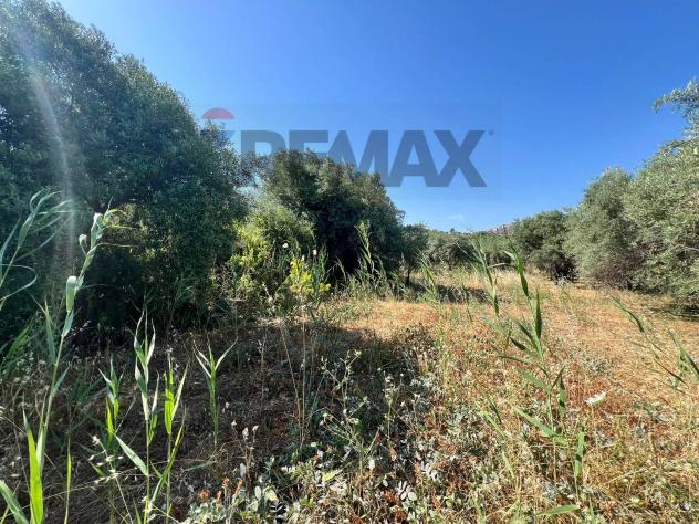 Terreno in vendita a Motta Sant'Anastasia - Foto 5