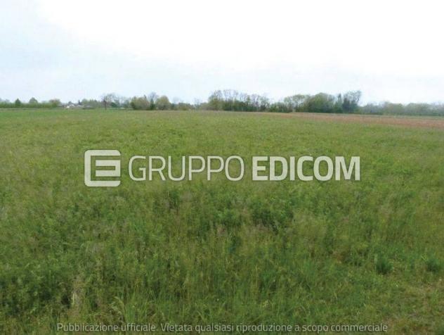 Terreno di 29838 mq in vendita a Paese - Rif. 4549349 - Foto 2