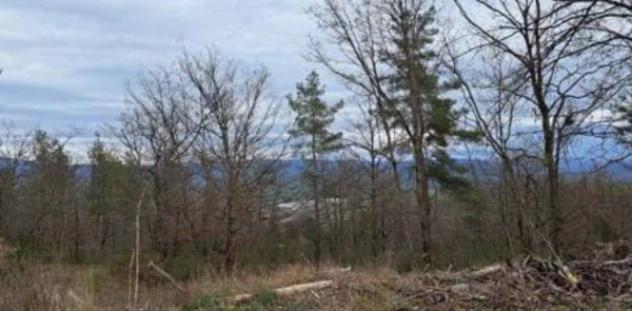 Immobile in asta di 1048270 m² in vendita a Piancastagnaio - Foto 8