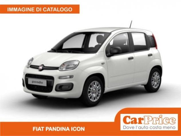 FIAT Pandina 1.0 FireFly 65CV Hybrid Icon (5 Posti) rif. 23811772 - Foto 2