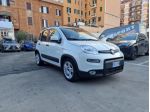 Fiat Panda 1.0 firefly hybrid City Life s&s 70cv 2023 OK NEOPATENTATI