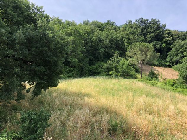 Fonte di Roccadaspide terreno agricolo - Foto 2