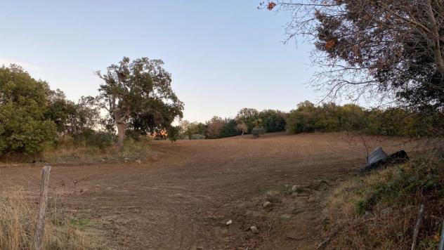 Terreno agricolo in vendita a Montorgiali - Scansano 103300 mq Rif: 1392018 - Foto 8