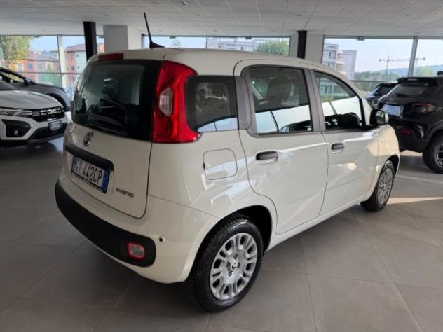 FIAT Panda 1.0 FireFly S&S Hybrid rif. 24013815 - Foto 3