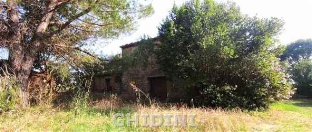 CASALE di 20 vani e di 750 mq (CINIGIANO - S. RITA) rif. 2432.102P - Foto 8