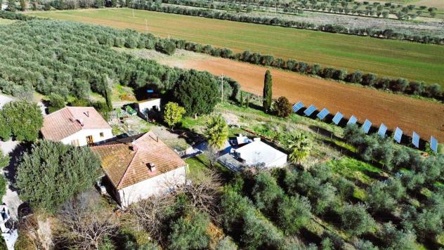 Tenuta complesso in Vendita in zona RIBOLLA - Foto 3