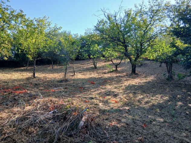 Terreno Agricolo 3000mq Arci (Tivoli) - Foto 2