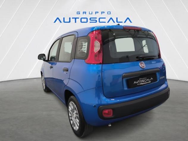 FIAT New Panda Pandina 1.0 FireFly 65 CV Hybrid Icon rif. 24157234 - Foto 4