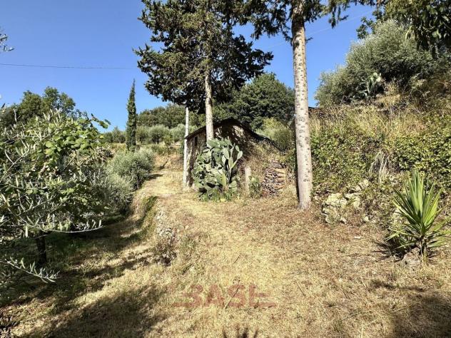 Terreno edificabile in vendita a Casale Marittimo - Foto 12