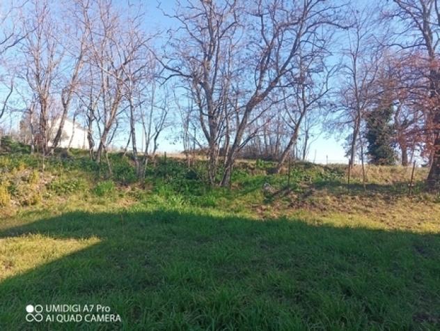Casale in vendita a Castel Frentano - Foto 9