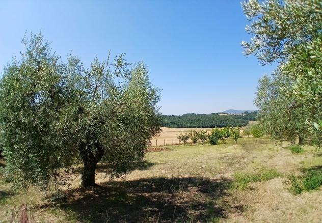 Rustico in vendita a Montecastrilli - Foto 9