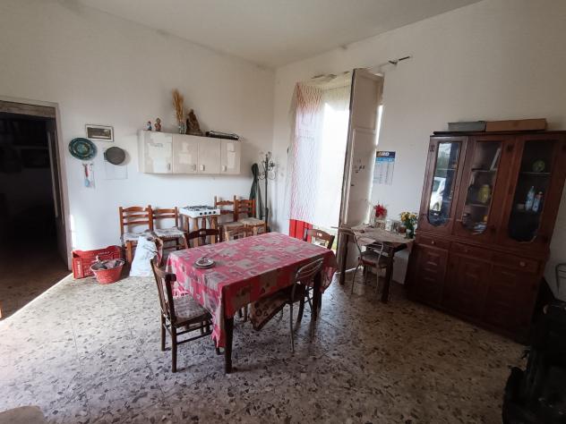 Uliveto in vendita a Paternò - Foto 8
