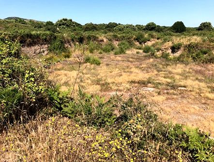 Terreno a Santu Lussurgiu - Foto 3