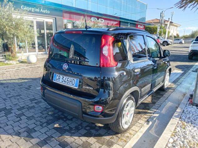 FIAT Panda 3ª serie Panda 1.0 FireFly S&S Hybrid - Foto 2
