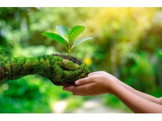 Corso di Nutrizione Superiore a Novembre 2026