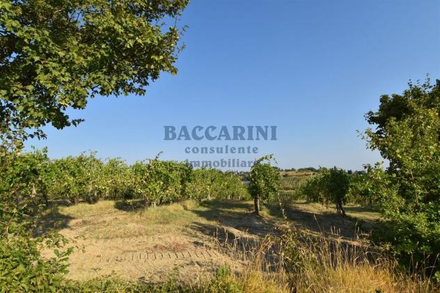 PROPRIETA' BRISIGHELLA - VIA LODOLONE 29 - Foto 15