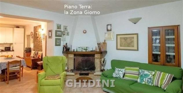 COLONICA di 8 vani e di 200 mq (MAGLIANO IN TOSCANA - POGGIO LA MOZZA) rif. 1017.163M - Foto 9