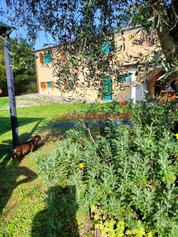 CASA INDIPENDENTE POSIZIONE ALTAMENTE PANORAMICA CON PISCINA - Foto 14