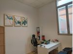 STUDIO MEDICO - UFFICIO a BOLOGNA in AFFITTO A GIORNATE (ZONA SANTA VIOLA)