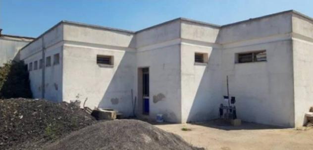 Immobile in asta di 15164 m² in vendita a Racale - Foto 8