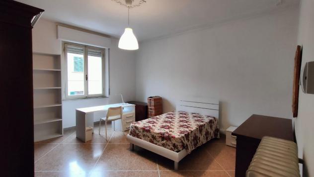 Stanza/Posto Letto in affitto a Pisa 16 mq Rif: 1385247