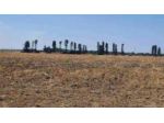 Immobile in asta di 107824 m² in vendita a Brindisi