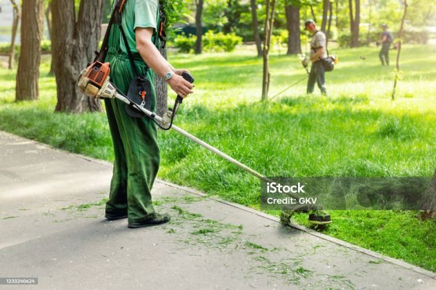Taglio erba e manutenzione del verde