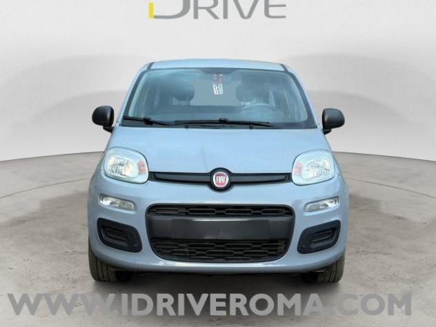 FIAT Panda 1.0 FireFly rif. 23876314 - Foto 3