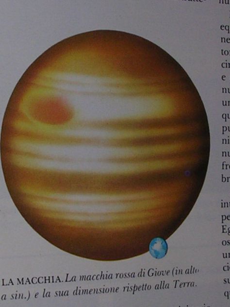 NEL MONDO DELL'INCREDIBILE - Foto 5