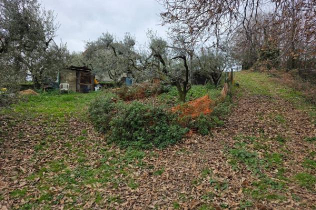 Terreno di 6110 m² in vendita a Velletri - Foto 4