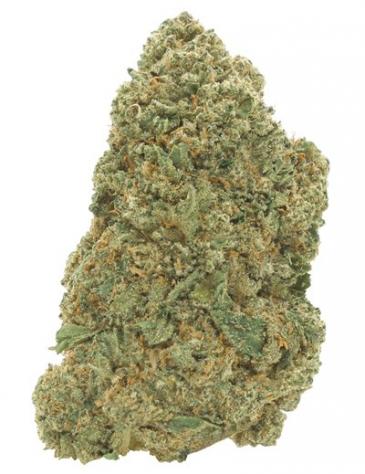 Amnesia Haze