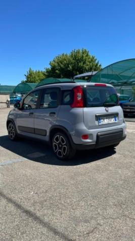FIAT Panda 1.0 FireFly S&S Hybrid City Life rif. 23773341 - Foto 5
