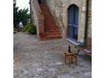 Az. Agr. Podere La Marronaia di Morrocchi Silvia