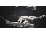 Organista professionista a Bologna