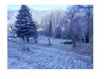 286/2021 4 BS - appezzamenti di terreno boschivo a PIAN CAMUNO
