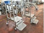 2 scale professionali con parapetto usate