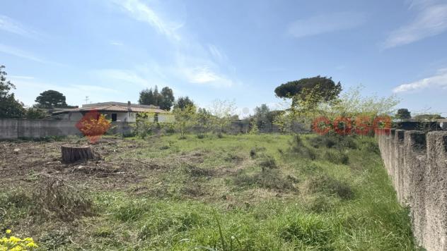 Terreno Agricolo - Terracina . Rif.: Cod. rif 3308552VRG - Foto 20
