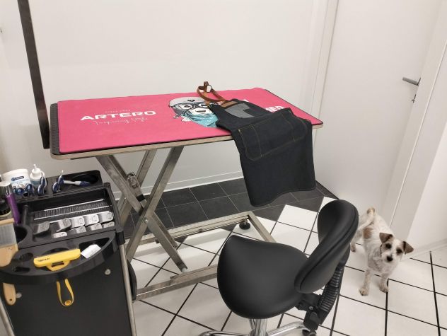 Toelettatura per cani - Foto 5
