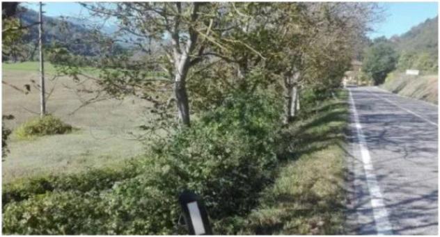 Immobile in asta di 25966 m² in vendita a Acqualagna - Foto 3