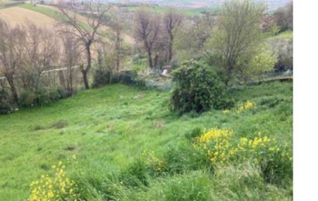 Immobile in asta di 6 m² in vendita a Montegranaro - Foto 4