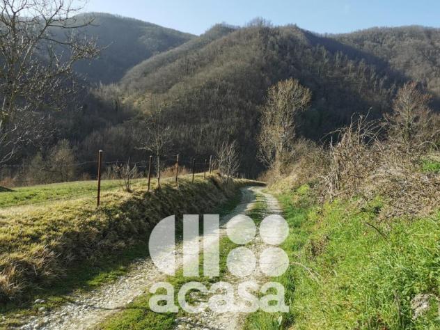 TERRENO AGRICOLO CON IMMOBILI DA RISTRUTTURARE - Foto 14