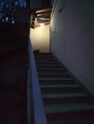 Immobile in asta di 97 m² in vendita a Arcidosso - Foto 5
