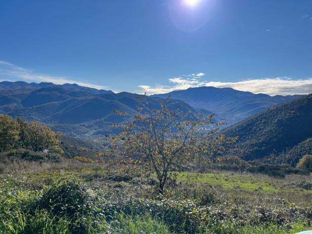 Agricolo in vendita a Segni - Foto 13